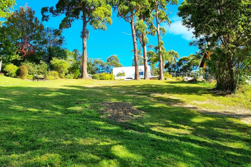 Photo - 21 Orchis Drive, Tamborine Mountain QLD 4272 - Image 2