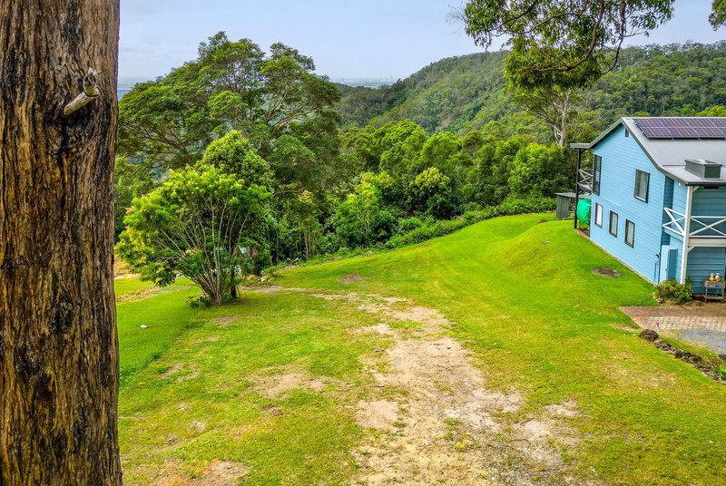 Photo - 21 Orchis Drive, Tamborine Mountain QLD 4272 - Image 5