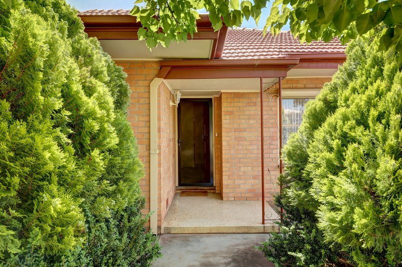 Photo - 21 Osborn Terrace, Plympton SA 5038 - Image 16