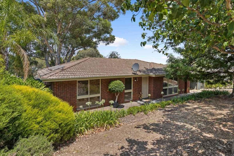 21 Palomino Parade, Wynn Vale SA 5127