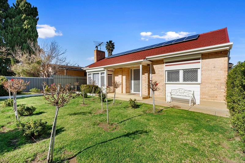 Photo - 21 Park Terrace, Maitland SA 5573 - Image 3