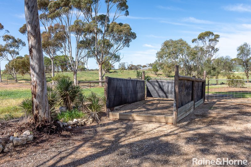 Photo - 21 Pepper Tree Lane, Hartley SA 5255 - Image 13