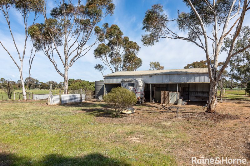 Photo - 21 Pepper Tree Lane, Hartley SA 5255 - Image 14