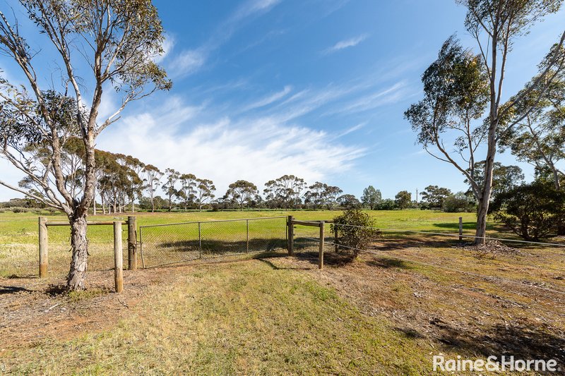 Photo - 21 Pepper Tree Lane, Hartley SA 5255 - Image 15