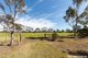 Photo - 21 Pepper Tree Lane, Hartley SA 5255 - Image 15