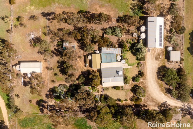 Photo - 21 Pepper Tree Lane, Hartley SA 5255 - Image 20