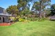 Photo - 21 Pitt Street, Manly Vale NSW 2093 - Image 1