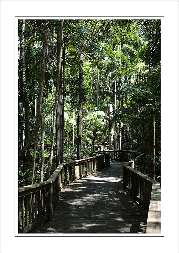 Photo - 21 Quorn Close, Buderim QLD 4556 - Image 2