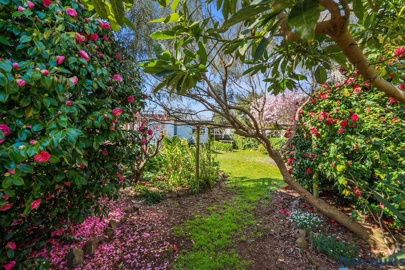 Photo - 21 Raymond Avenue, Devonport TAS 7310 - Image 12