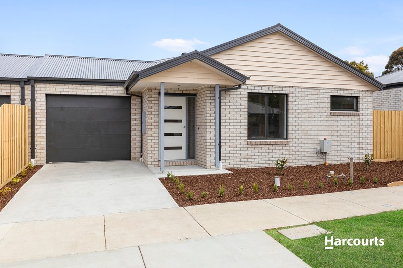 21 Robb Avenue, Hamlyn Heights VIC 3215