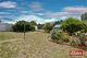 Photo - 21 Robinson Road, Willaston SA 5118 - Image 13