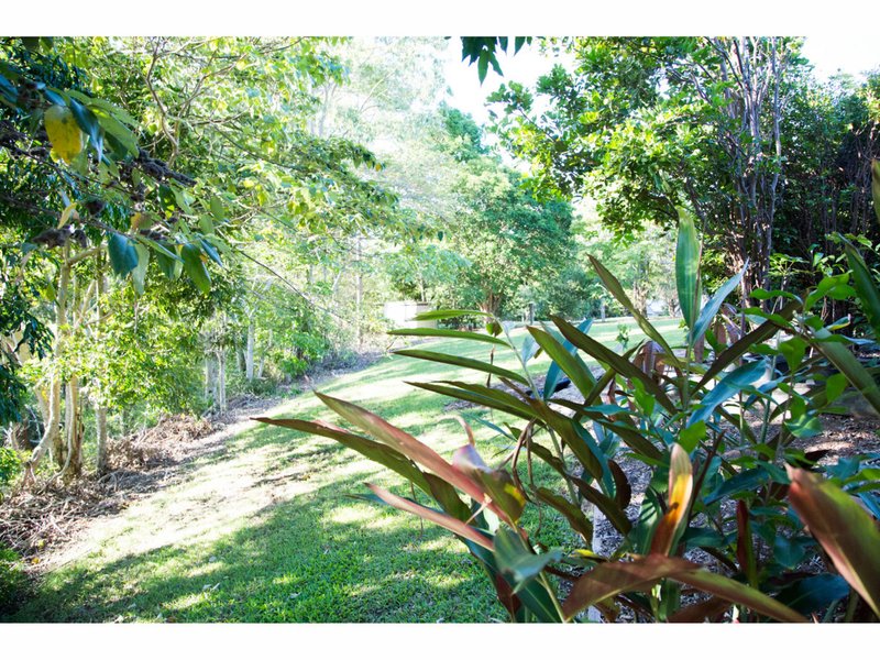 Photo - 21 Rosella Road, North Maleny QLD 4552 - Image 20