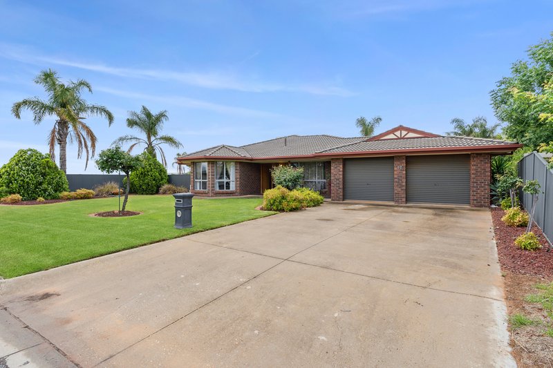 21 Rosenthal Drive, Berri SA 5343