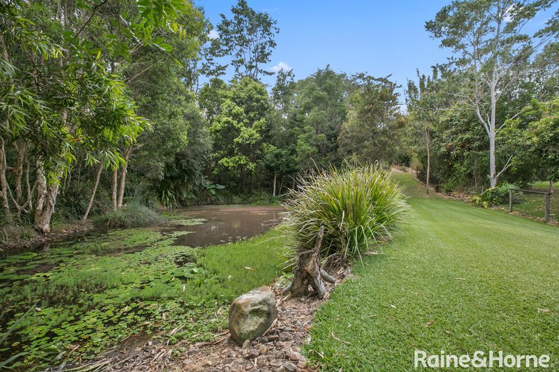 Photo - 21 Saunders Drive, Cooran QLD 4569 - Image 7