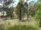 Photo - 21 Scorpio Grove, Narrawallee NSW 2539 - Image 3