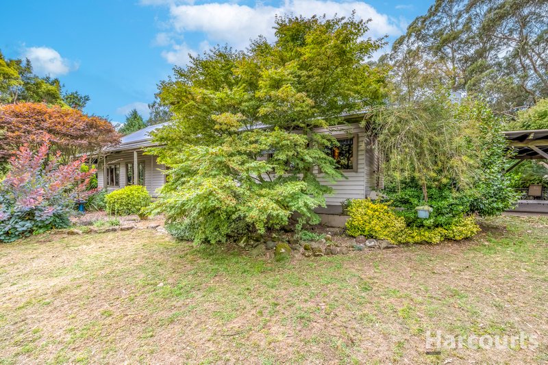 Photo - 21 Seaview School Road, Seaview VIC 3821 - Image 12