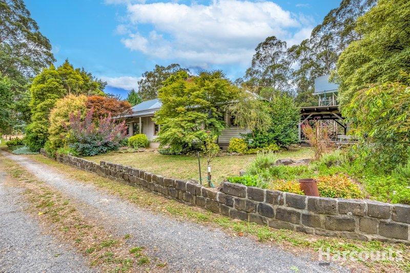 Photo - 21 Seaview School Road, Seaview VIC 3821 - Image 25