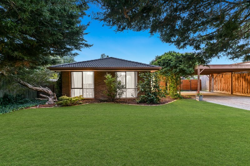 Photo - 21 Song Street, Narre Warren VIC 3805 - Image 15