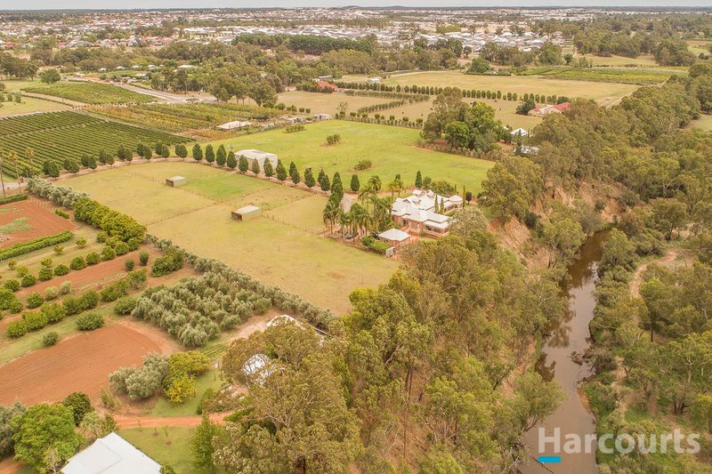 Photo - 21 Swan Street, Henley Brook WA 6055 - Image 5