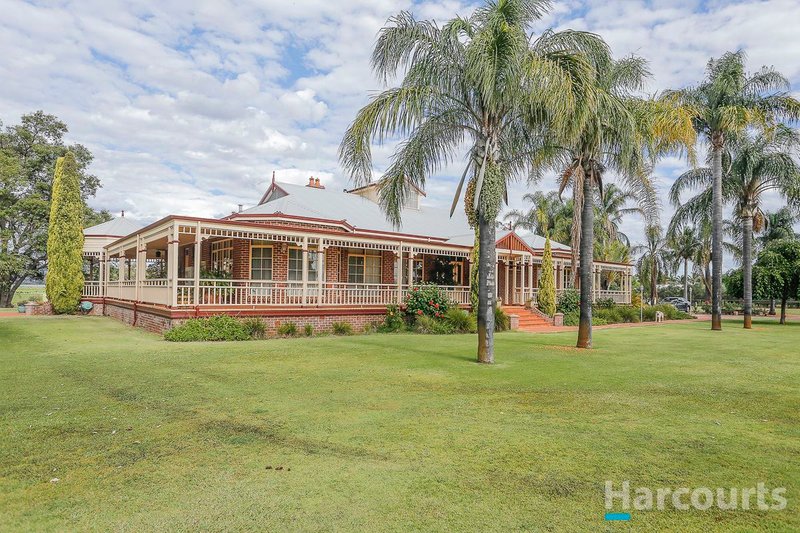 Photo - 21 Swan Street, Henley Brook WA 6055 - Image 6