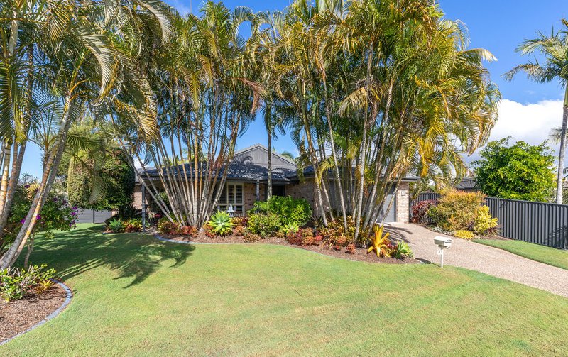 Photo - 21 Sweetbrush Place, Mountain Creek QLD 4557 - Image 17