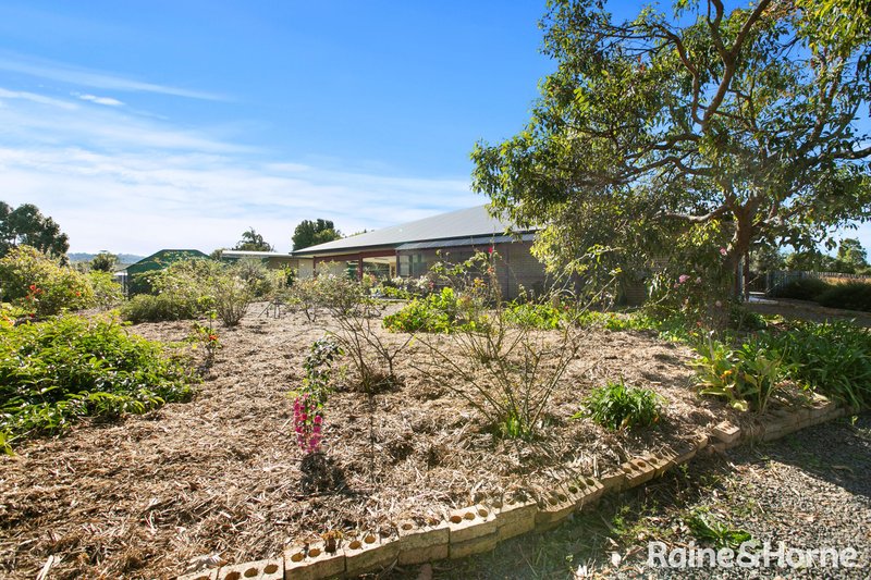 Photo - 21 Tanderra Drive, Cooran QLD 4569 - Image 13