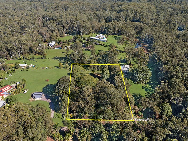 Photo - 21 Tecoma Road, Palmwoods QLD 4555 - Image 2