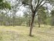 Photo - 21 The Ballabourneen , Lovedale NSW 2325 - Image 33