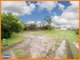 Photo - 21 The Parkway, Aroona QLD 4551 - Image 3