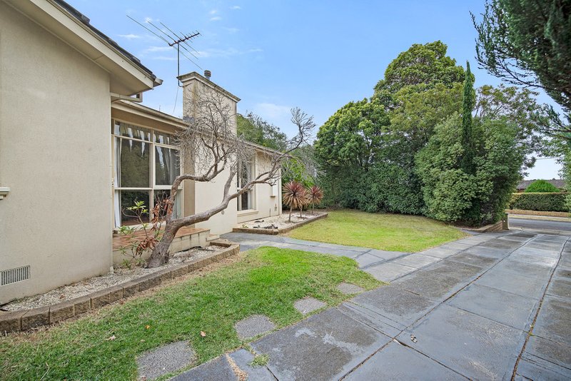 Photo - 21 Toolang Court, Mount Waverley VIC 3149 - Image 13