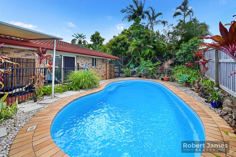 Photo - 21 Waratah Close, Tewantin QLD 4565 - Image 3