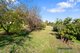 Photo - 21 William Street, Forth TAS 7310 - Image 20