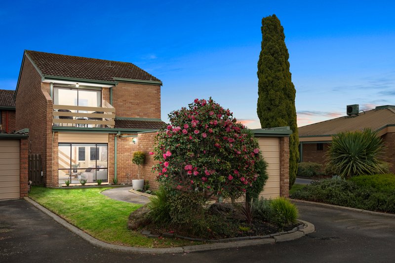 Photo - 21 Woodland Drive, Cheltenham VIC 3192 - Image 6