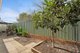 Photo - 21 Zenith Turn, Baldivis WA 6171 - Image 32