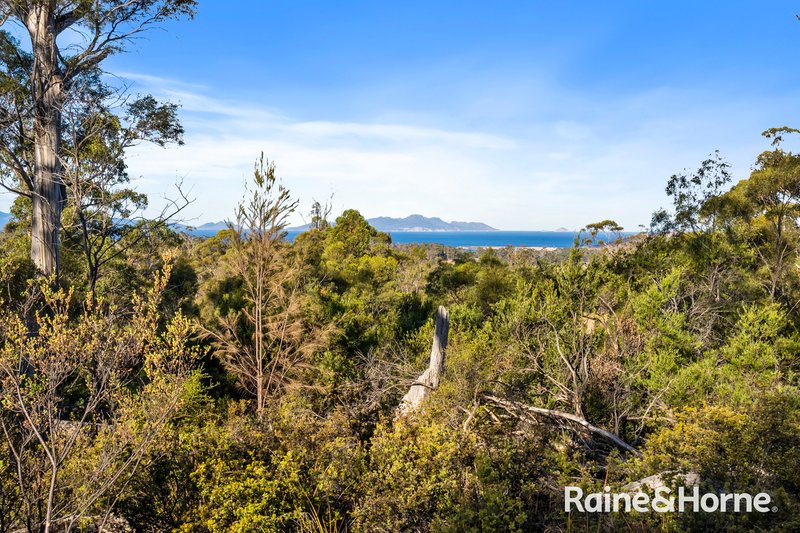 Photo - 210 & 214 Bresnehans Road, Little Swanport TAS 7190 - Image 2