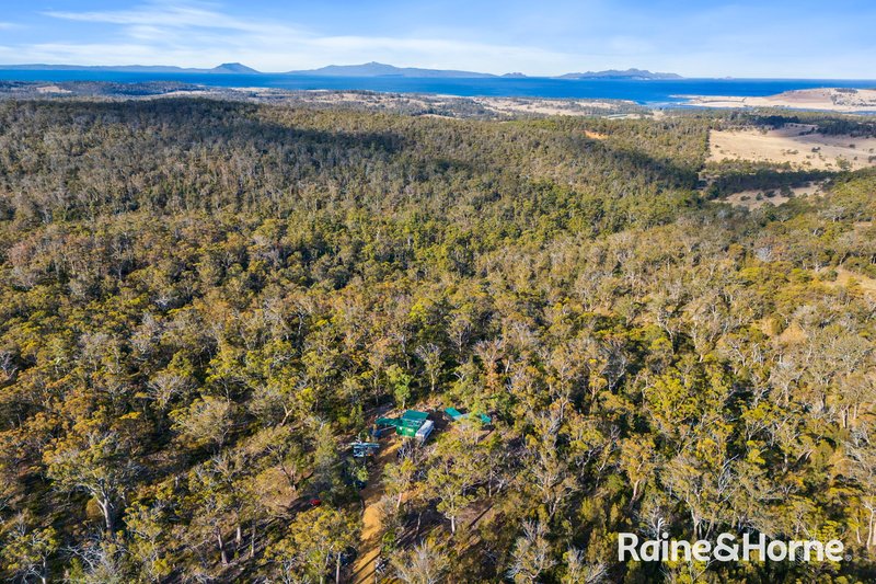 Photo - 210 & 214 Bresnehans Road, Little Swanport TAS 7190 - Image 5