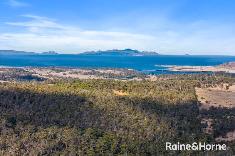 Photo - 210 & 214 Bresnehans Road, Little Swanport TAS 7190 - Image 9