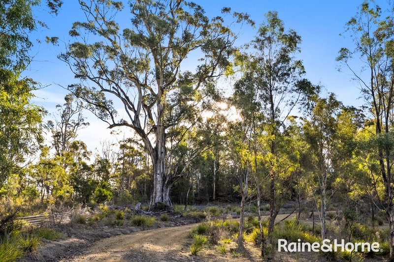 Photo - 210 & 214 Bresnehans Road, Little Swanport TAS 7190 - Image 14