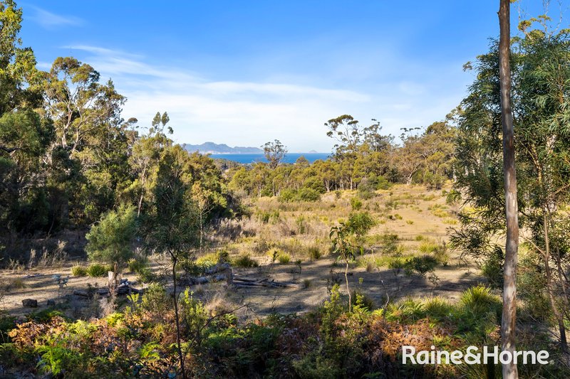 Photo - 210 & 214 Bresnehans Road, Little Swanport TAS 7190 - Image 15