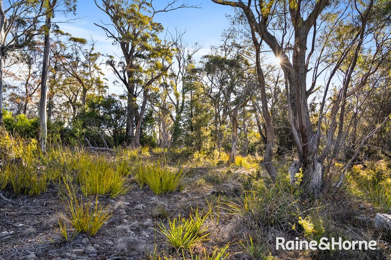 Photo - 210 & 214 Bresnehans Road, Little Swanport TAS 7190 - Image 25