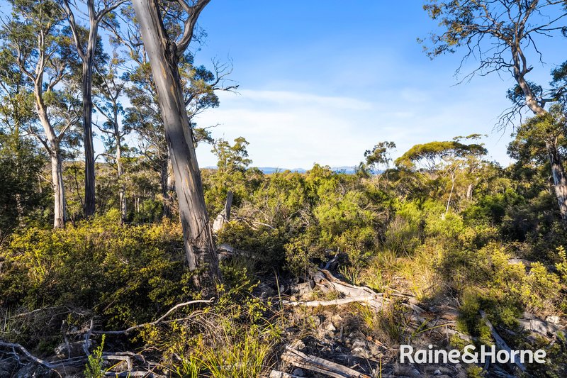 Photo - 210 & 214 Bresnehans Road, Little Swanport TAS 7190 - Image 26