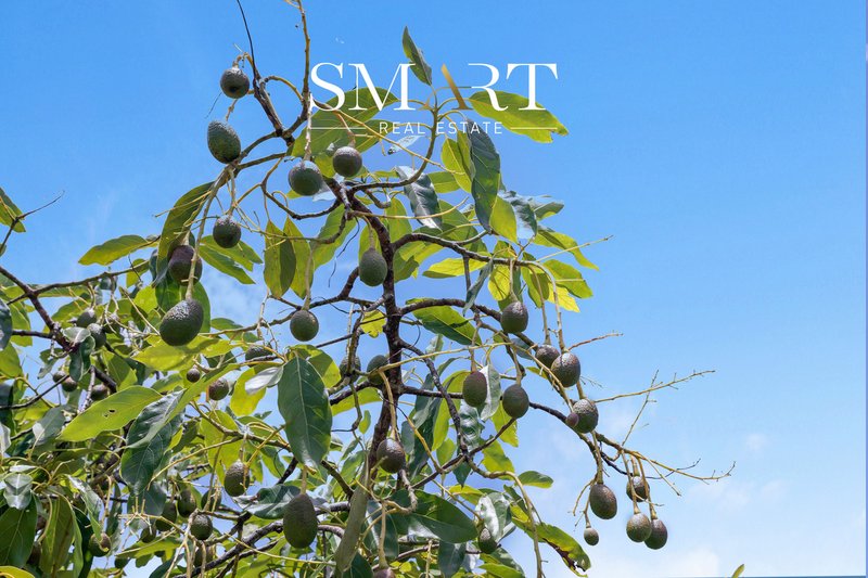 Photo - 210-220 Macdonnell Road, Tamborine Mountain QLD 4272 - Image 10