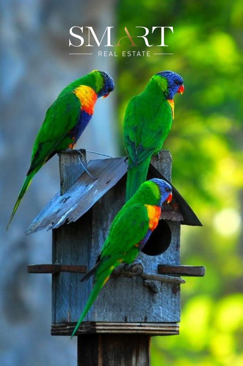 Photo - 210-220 Macdonnell Road, Tamborine Mountain QLD 4272 - Image 11