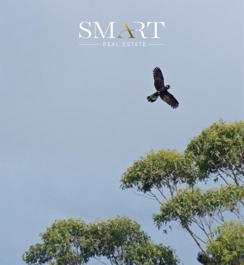 Photo - 210-220 Macdonnell Road, Tamborine Mountain QLD 4272 - Image 12