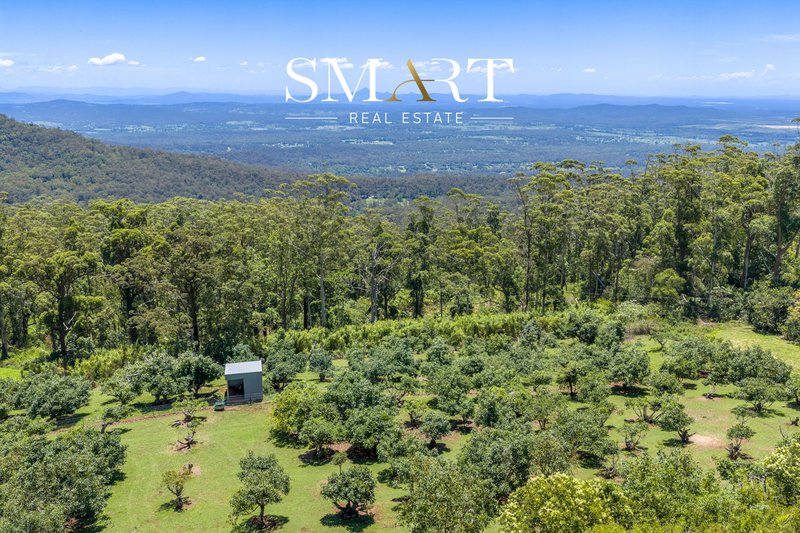 Photo - 210-220 Macdonnell Road, Tamborine Mountain QLD 4272 - Image 34