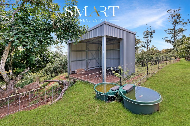 Photo - 210-220 Macdonnell Road, Tamborine Mountain QLD 4272 - Image 35