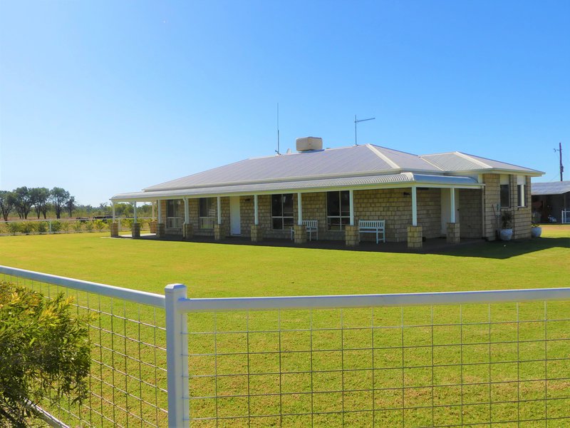 Photo - 210 Bungeworgorai Lane, Roma QLD 4455 - Image 10