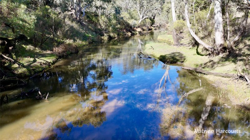 Photo - 210 Chapmans Road, Bahgallah VIC 3312 - Image 24