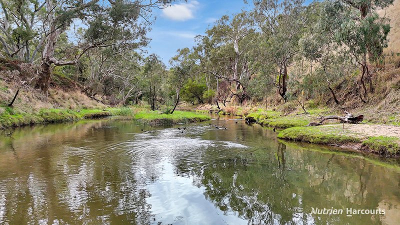 Photo - 210 Chapmans Road, Bahgallah VIC 3312 - Image 26