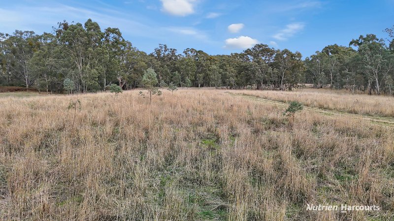 Photo - 210 Chapmans Road, Bahgallah VIC 3312 - Image 27